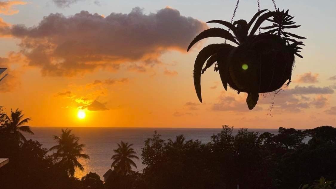 Mabrika Resort Dominica Guillet Exterior photo