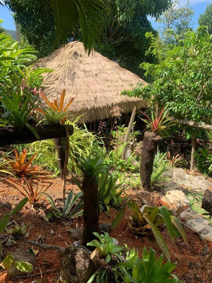 Mabrika Resort Dominica Guillet Exterior photo